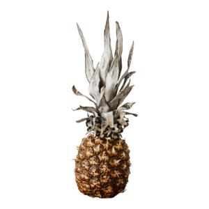 Ananas